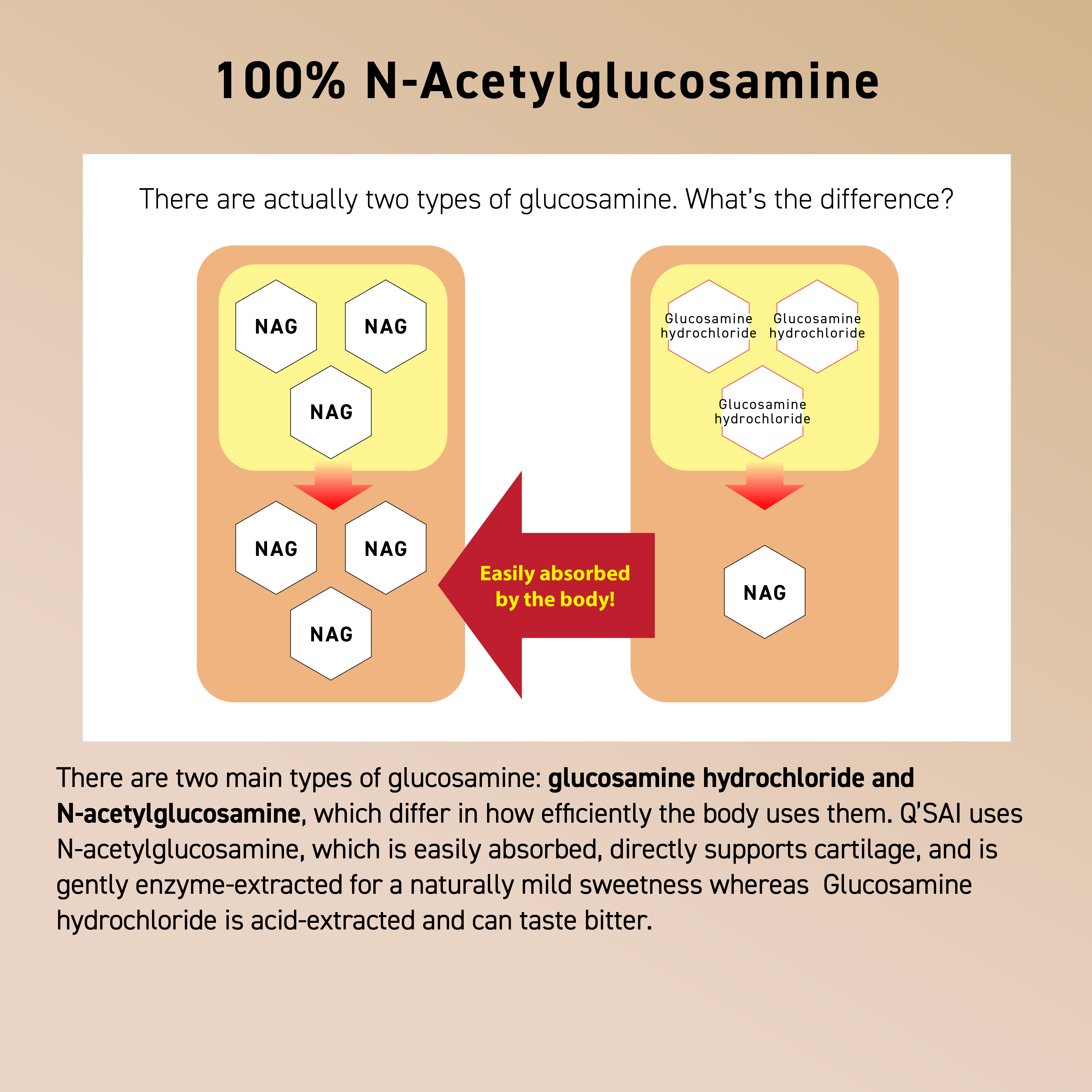 N-ACETYLGLUCOSAMINE Z