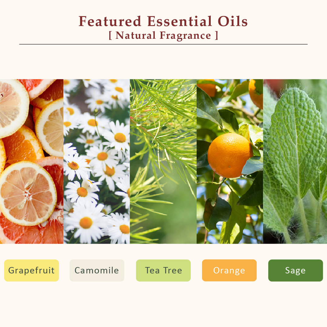 La CASTA AROMA ESTHE PROTECT & REPAIR HAIR CREAM