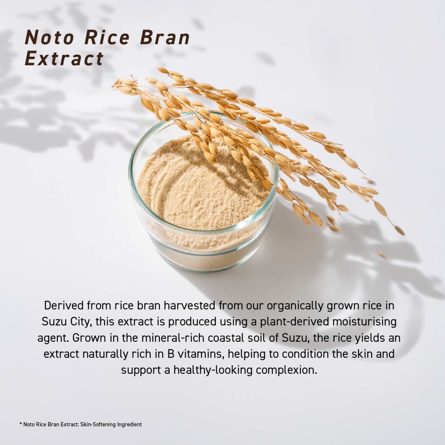 NAIA RICE ESSENCE GLOW MASK
