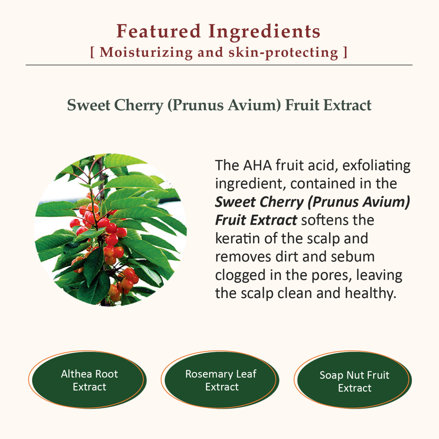 La CASTA AROMA ESTHE SCALP CLEANSING REFINE