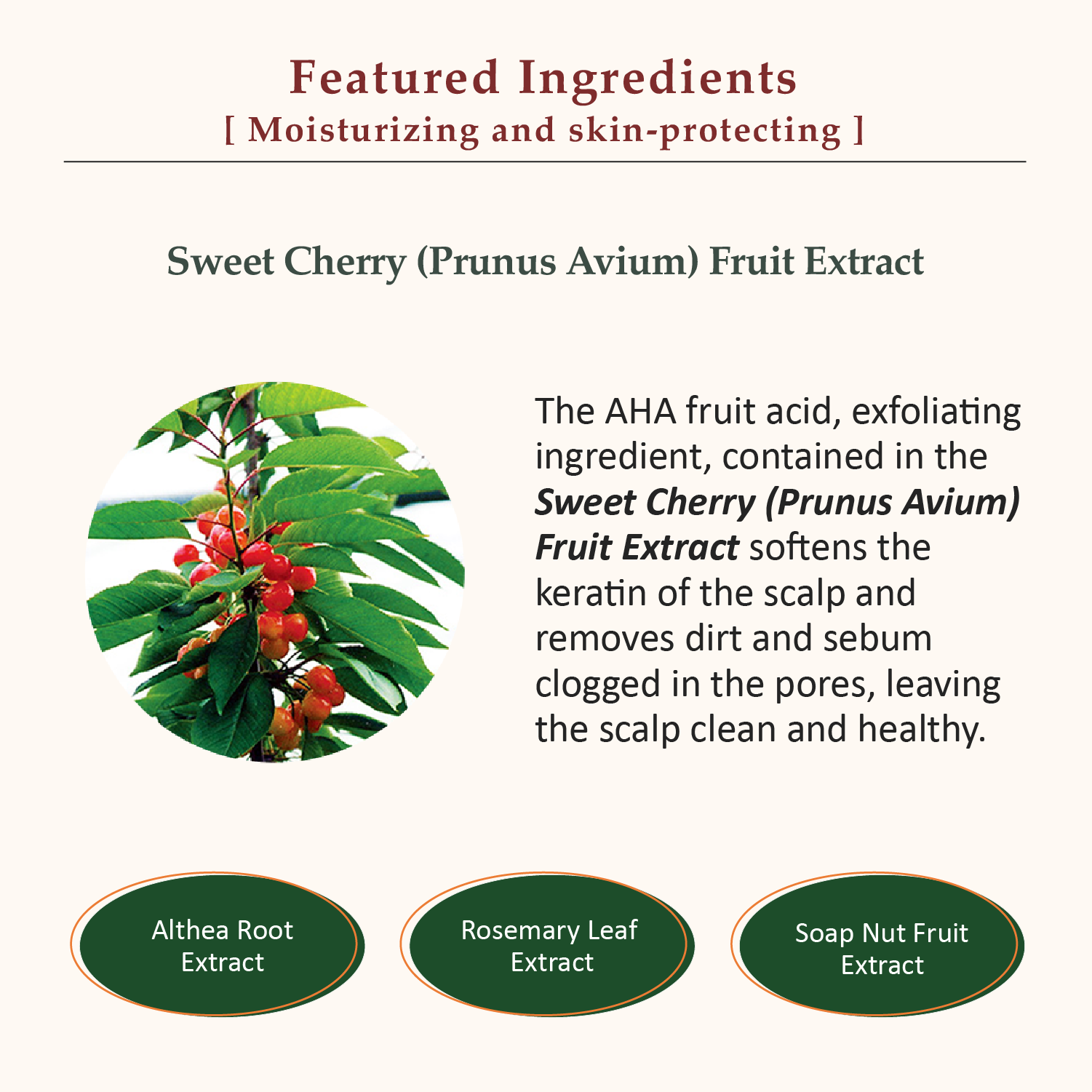 La CASTA AROMA ESTHE SCALP CLEANSING REFINE