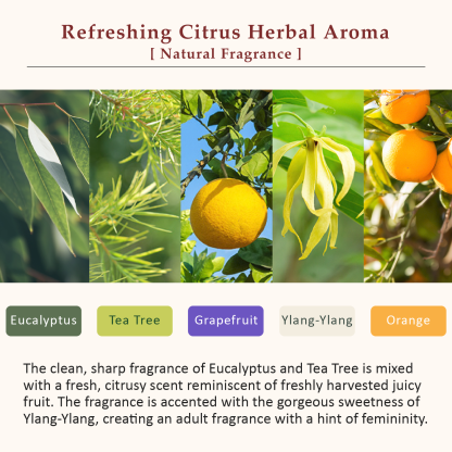 La CASTA AROMA ESTHE SCALP CLEANSING REFINE