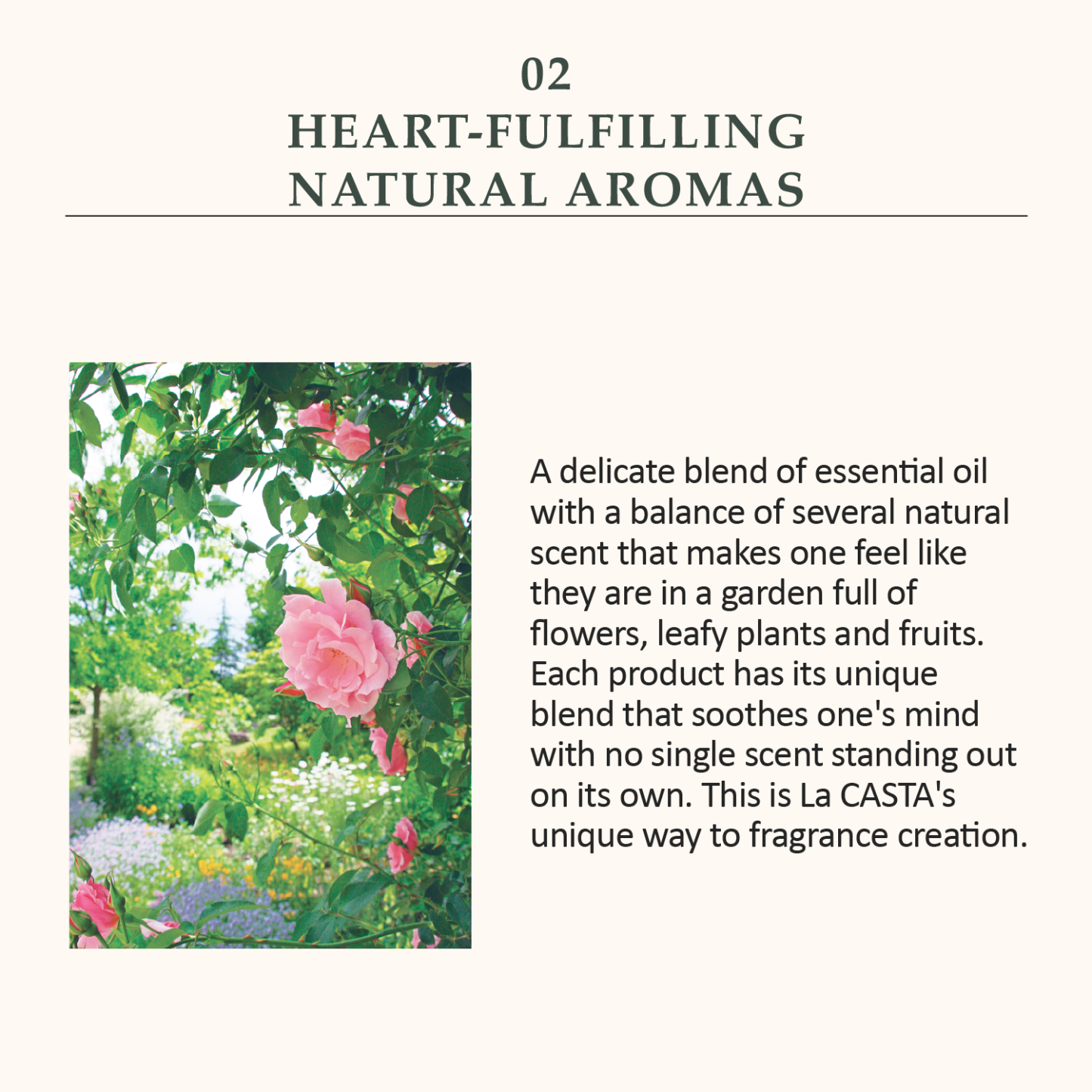 La CASTA AROMA ESTHE SCALP CLEANSING REFINE