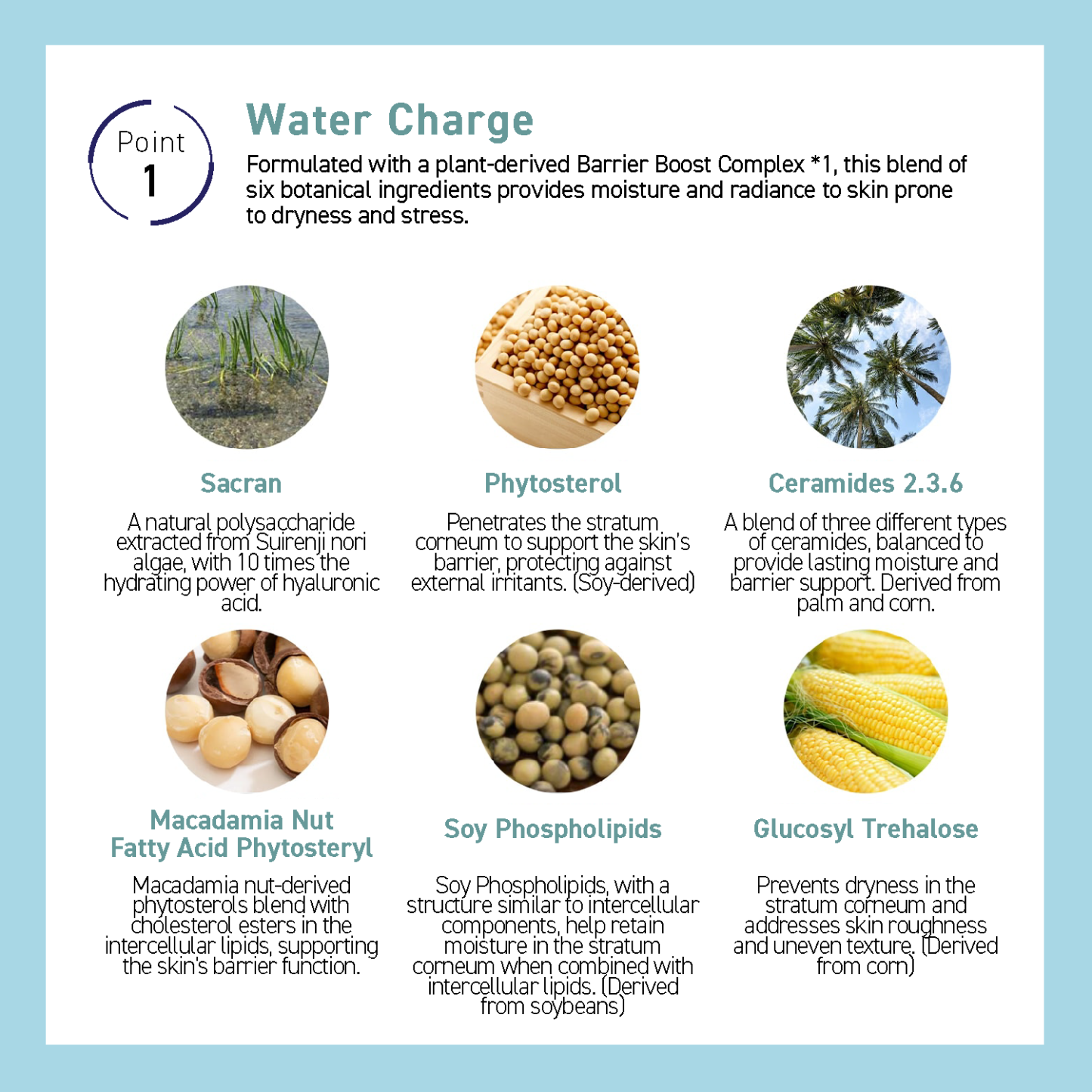 SKIN BARRIER CREAM (65g)