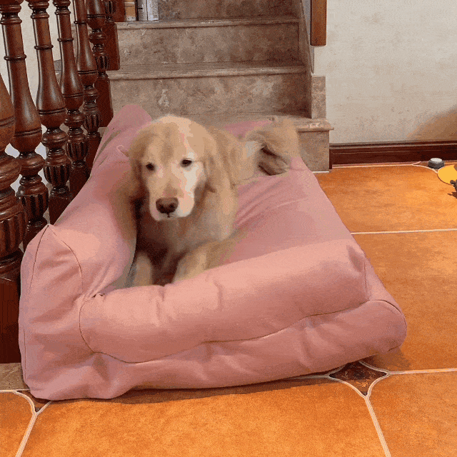 171582654drherhererj3178erh.gif