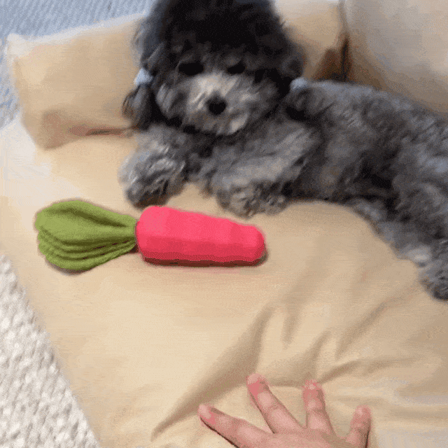 17158268fdhdh54h55derhre858.gif