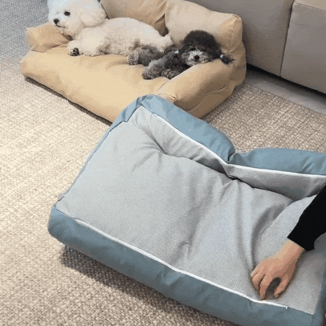 1715826dsgererh95erh3781.gif