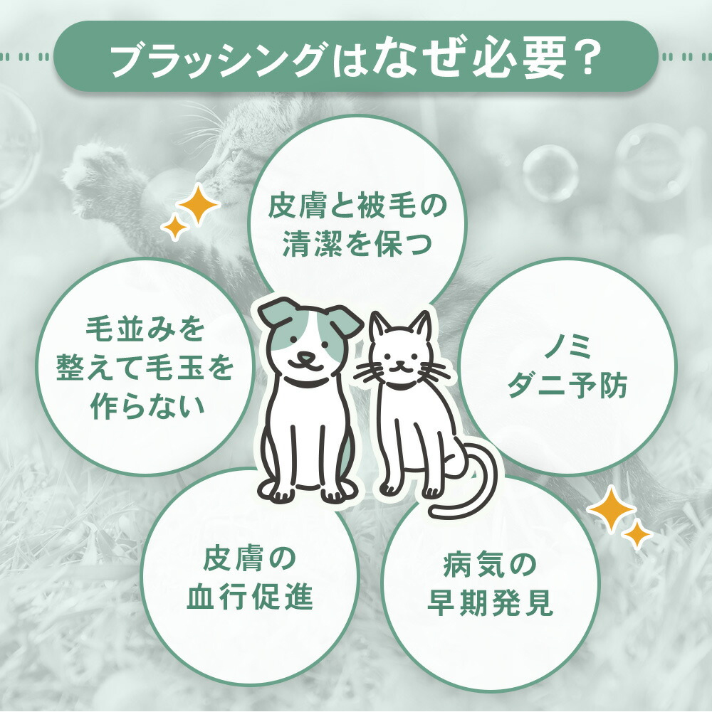 未标题-2.jpg
