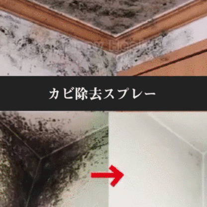 特効カビ除去剤