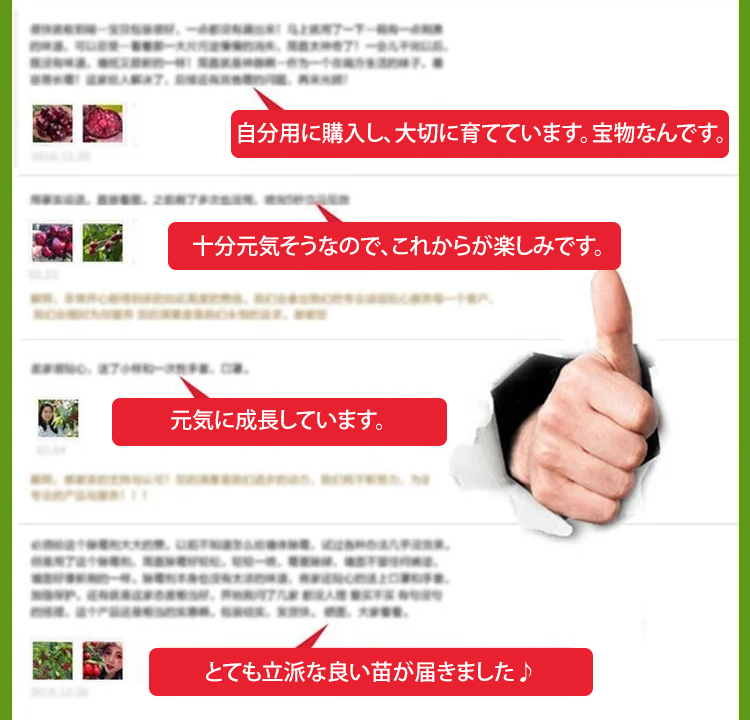 99_04.jpg