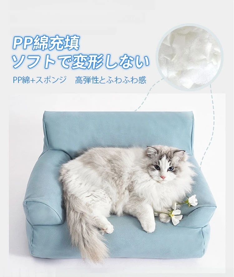 325yoytotolgy756tkyu_07.webp