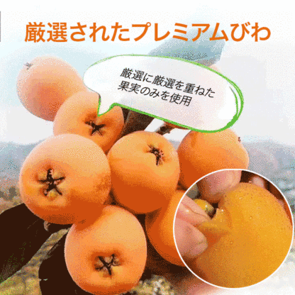 びわのドライフルーツ