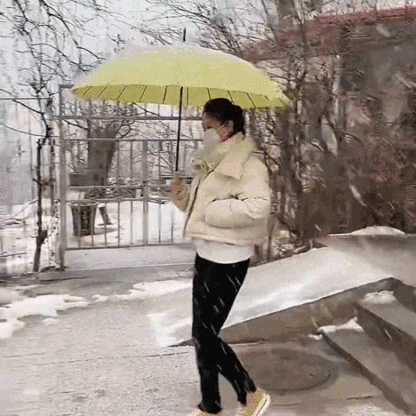 超軽量超撥水24本骨傘