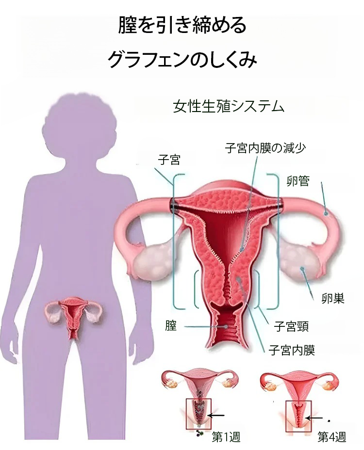 JP-504417-JL-高腰收腹内裤女-秦丹_10.png