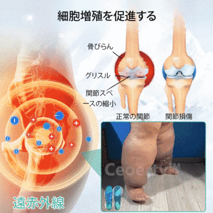 アイスシルク医療用インソール