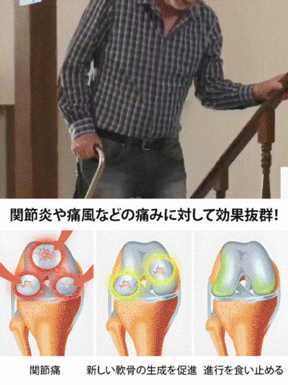 アメリカンチェリーの苗木