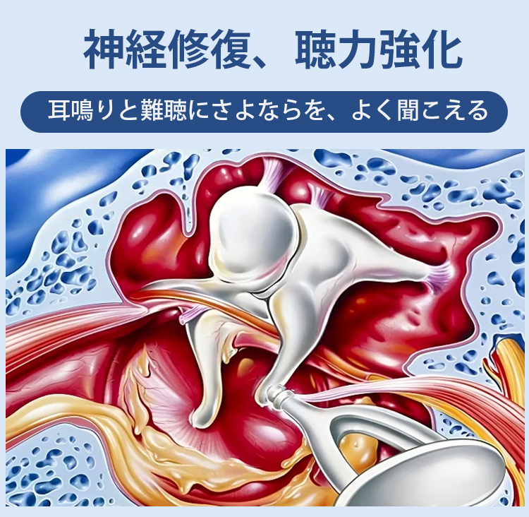 日语_12.jpg