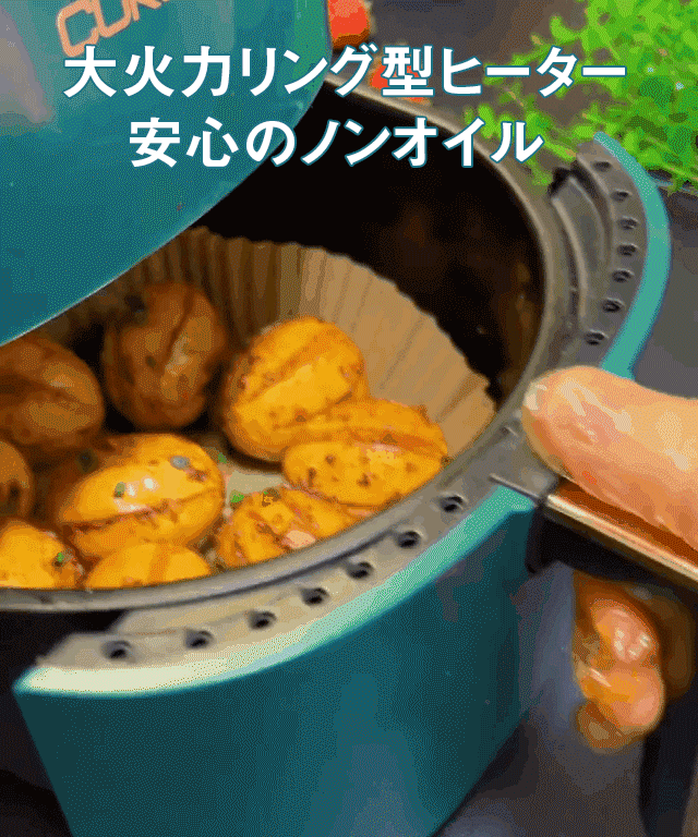 ノンフライヤー
