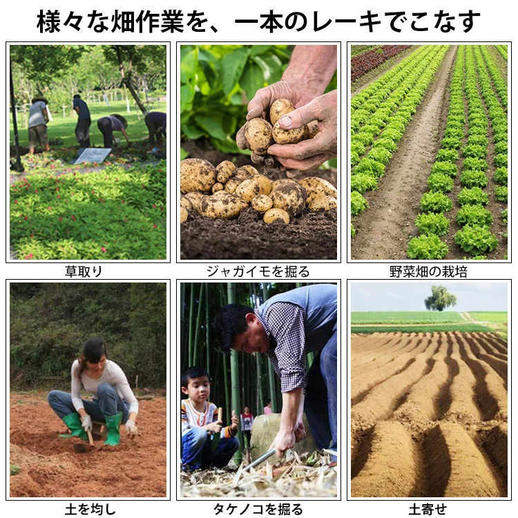 新しい除草神器根付草取り道具(郵送)