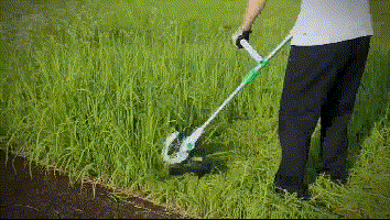 6.gif