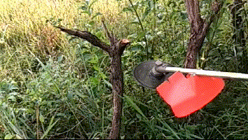 11.gif