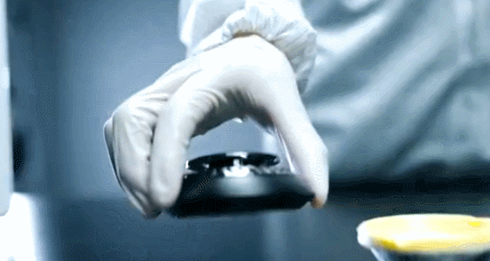 6.gif