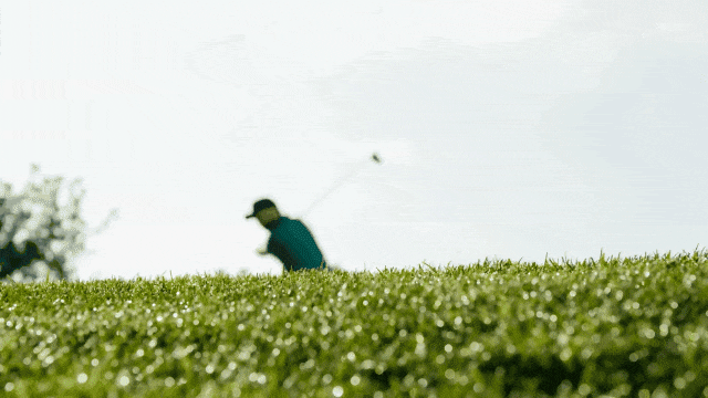 g2 (1).gif