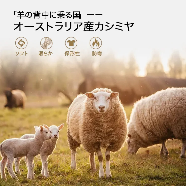 レディース両面ラシャコート