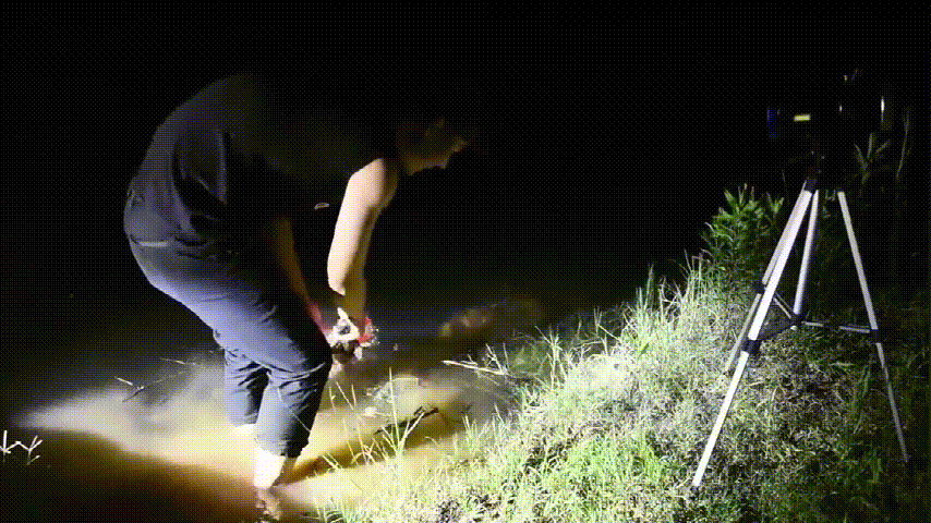 03.gif