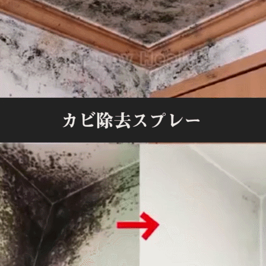 特効カビ除去剤