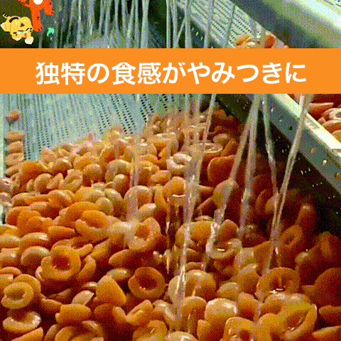 びわのドライフルーツ