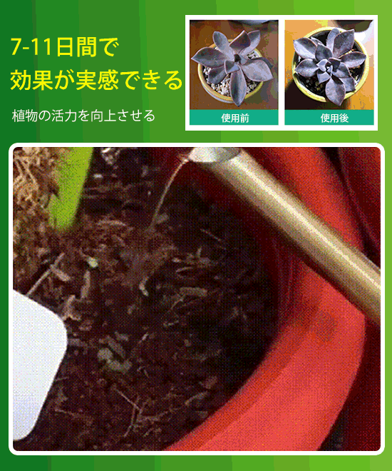 植物用活力剤