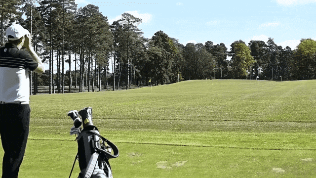 G5.gif
