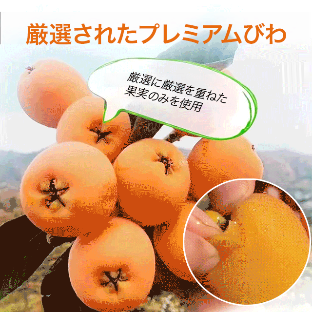 びわのドライフルーツ