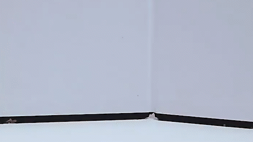 txd_16.gif