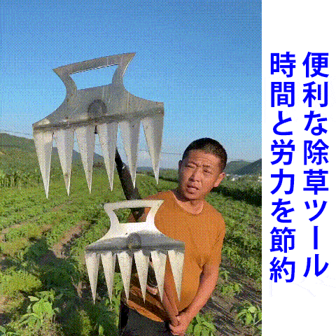 多機能6本爪草刈りレーキ