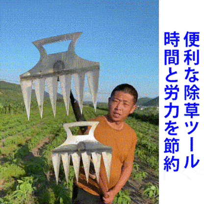 多機能6本爪草刈りレーキ