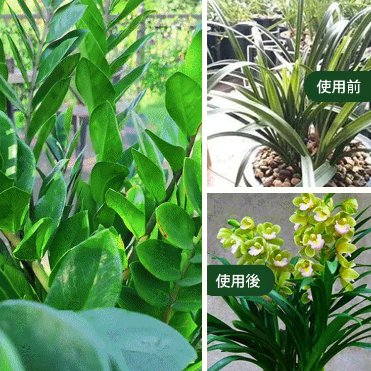 植物用緩効性栄養スティック