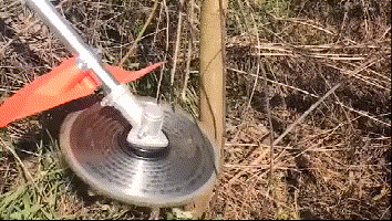 12.gif