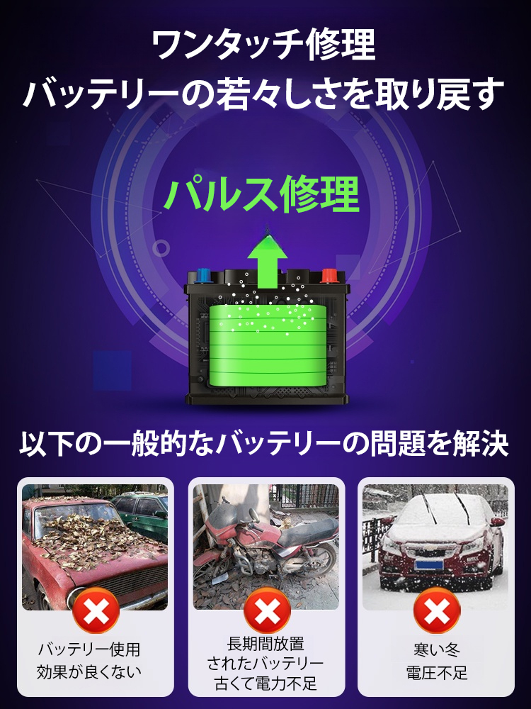 FAST バッテリー充電器