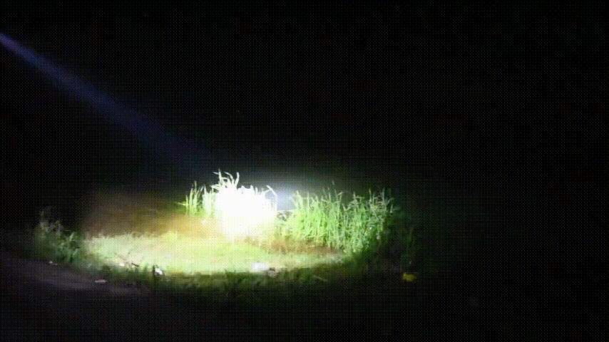 02.gif