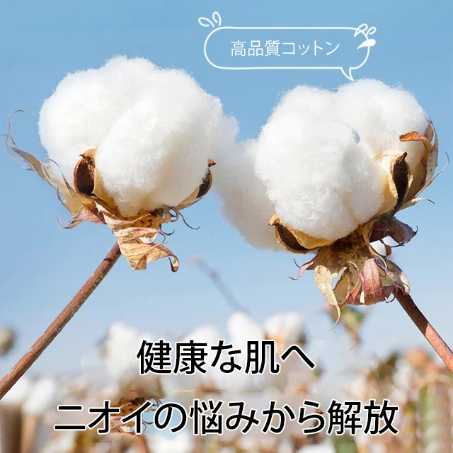 シースルーソックス