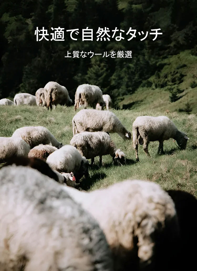 法式假两件连衣裙秋_15.jpg