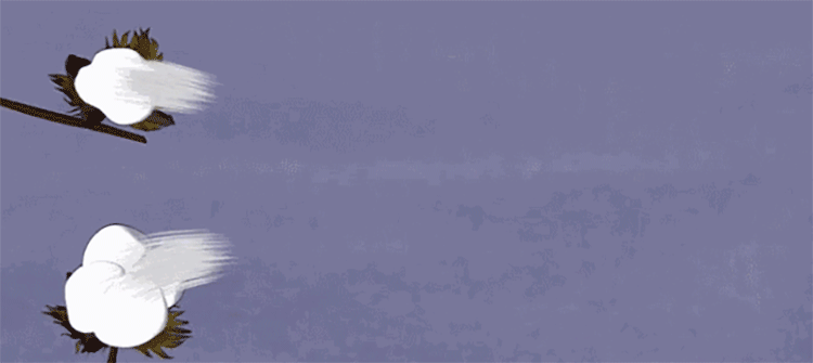 风衣_23.gif