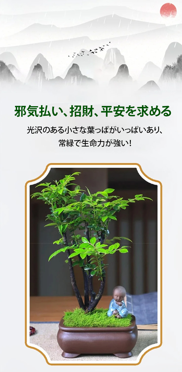 翻译件-JC-珍稀禅意小叶紫檀-1147890_06.jpg