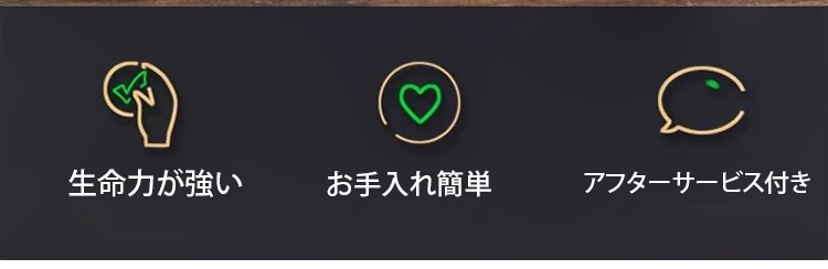 翻译件-JC-珍稀禅意小叶紫檀-1147890_03-1.jpg