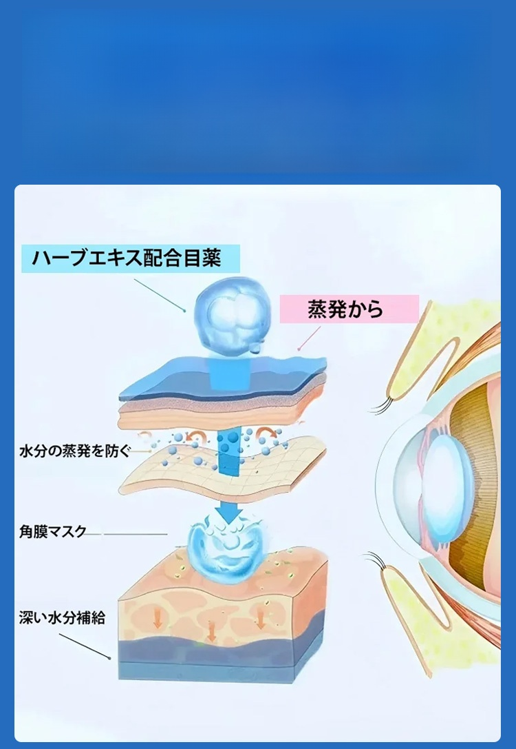 翻译件-SL-保护视力缓疲护理滴眼液-1153601_21.jpg