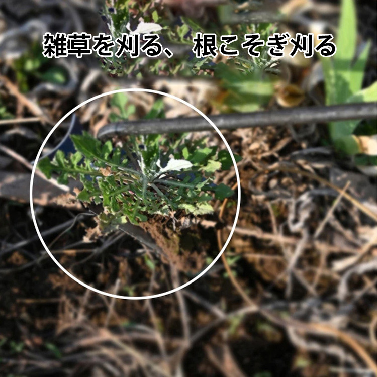 新しい除草神器根付草取り道具(郵送)