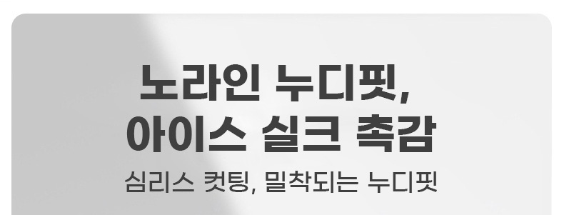 레이스 하이웨이스트 실크 팬티 노라인 누디핏 VEIMIA