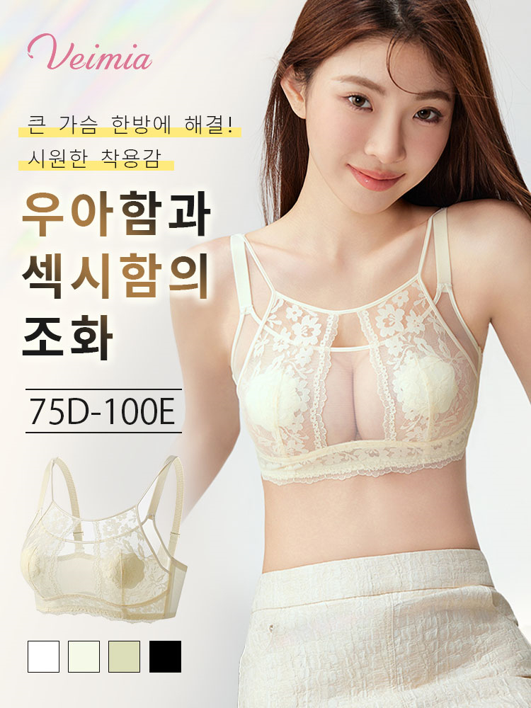 우아 섹시 프렌치 레이스 브라 큰 가슴 문제 한방에 해결 VEIMIA